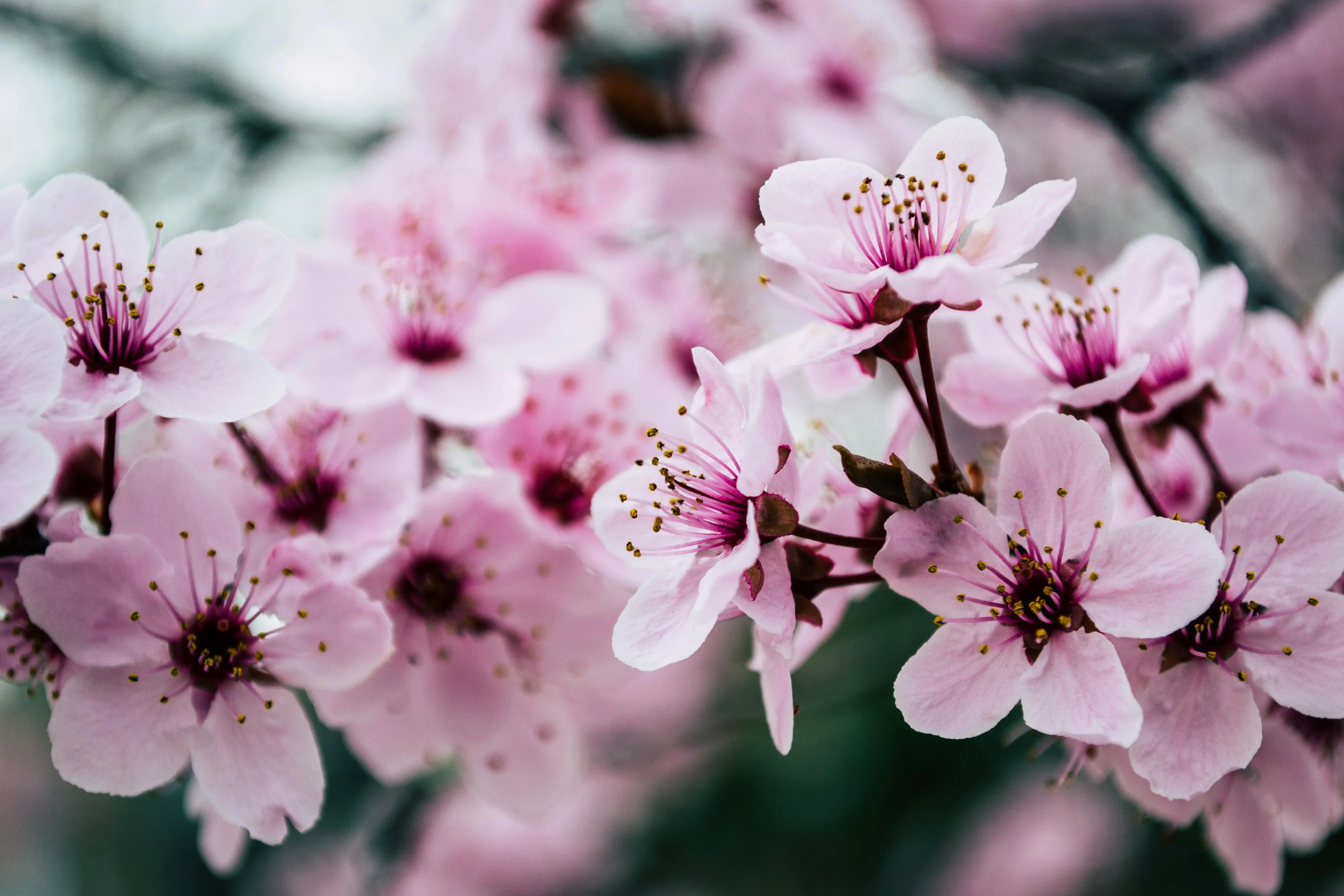 Spring plumbing tips for Kawarthas homeowners